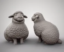 sheep