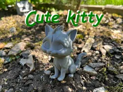 Beautiful cute kitty