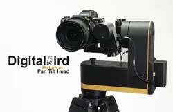 Camera Pan Tilt Head - Digital Bird