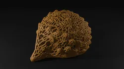Hedgehog Voronoi