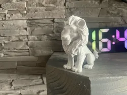 Lion lion