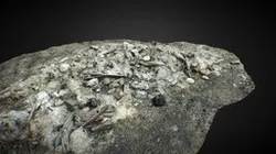 Pile Burned Trash 3D Scan