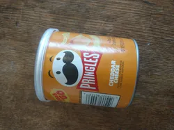 Pringles Can Lid