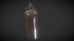 Punching Bag/Boxing Bag
