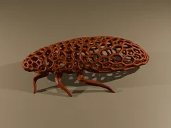 Cockroach Voronoi