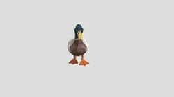Duck Animation