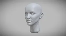 Head study