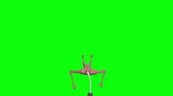 Stand Up