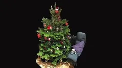Christmas Tree 2022