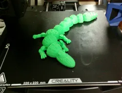 Flexi Alligator