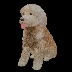 Cockapoo with texture
