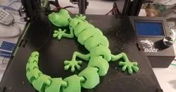 Curled Articulated Lizard
