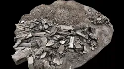 destroyed building debris pile part1 photogrammetry Low-poly 3D model