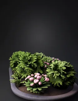 I want to create a flower bed with bushes or flowers idk just smth hig