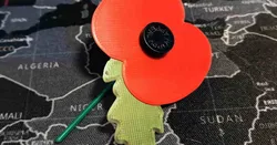 Poppy Appeal Paper replacement