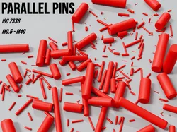 ISO 2338 Parallel Pins