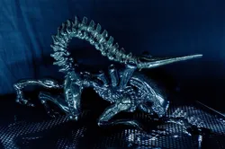 Xenomorph - magnet legs