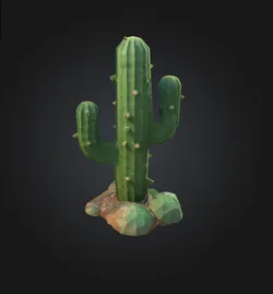 Cactus Cactus