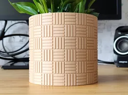 Checker Plant pot and Planter - Vase mode design