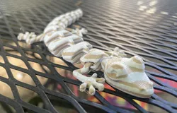 Wood Grain Articulated Lizard (remix)