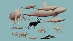 Animal_Kit_1.0 (CC0)