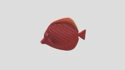 DavidFernandez_Fish