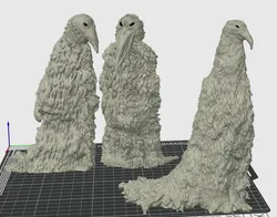 Erosion Birds
