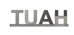 Hawk Tuah 3D Word