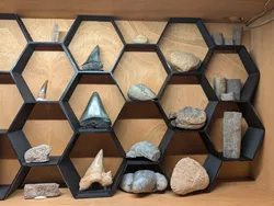 Hexagon display shelves Customisable