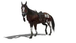 Horse