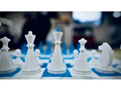 Magnetic Chess Pieces w/ Board