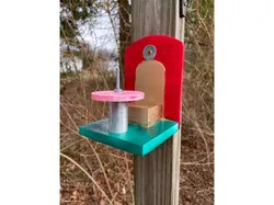 Squirrel cafe