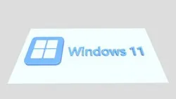Windows BUG 11