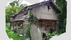 平清浄蔬菜共同集荷場(東京都町田市)