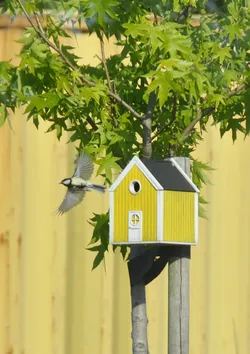 Bird house