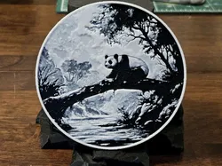 Cute Exploring Panda Coaster