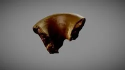 Fragmento cerámico prehispánico