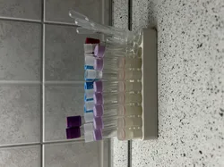 Test tube stand