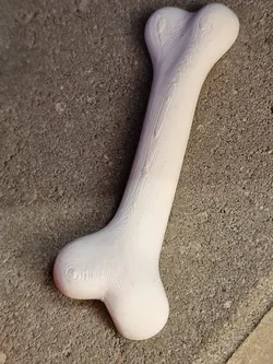 Bone Magnet