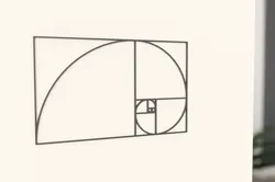 Fibonacci-Wallart