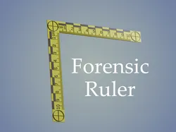 Forensic Ruler (metric)