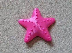 Starfish Magnet