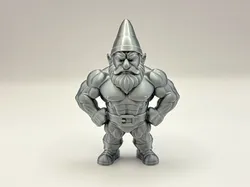 Guardian of Gains Gnome!