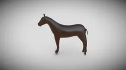 Horse (Avaliação 3)