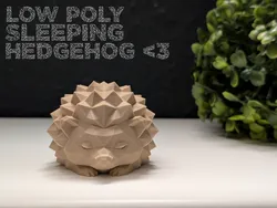 Low Poly Sleeping Hedgehog
