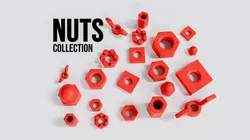 MASSIVE Nuts Collection