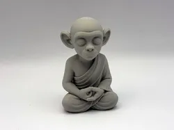 Zen Monkey Monk