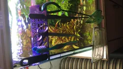 Aquarium Tools Holder