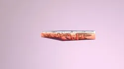 complete contour