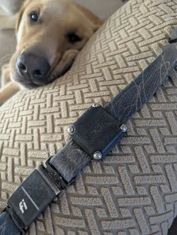 Dog Collar Air Tag Holder - WEATHERPROOF